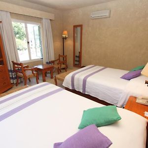 Suite Junior